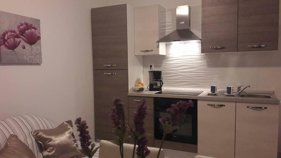 Apartmani Rita Kiwi Novigrad Istria Exterior foto