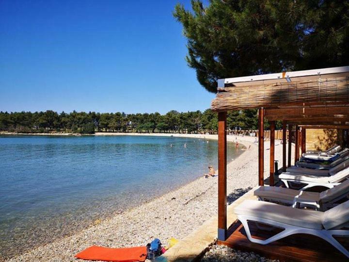 Apartmani Rita Kiwi Novigrad Istria Exterior foto